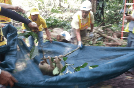 Rescate de Flora y Fauna